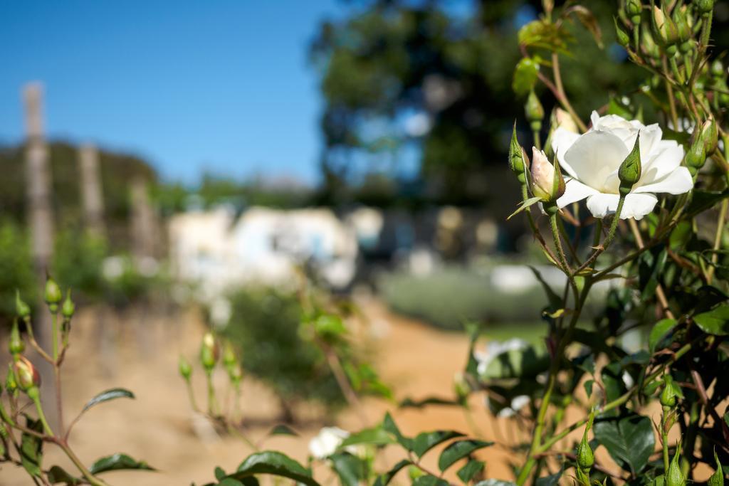 Auberge Clermont ฟรันเชิค ภายนอก รูปภาพ