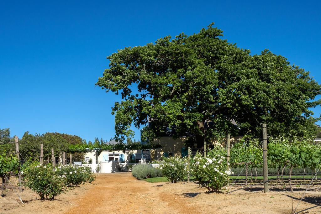 Auberge Clermont ฟรันเชิค ภายนอก รูปภาพ